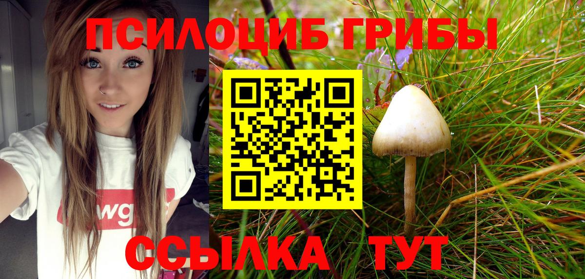 Галлюциногенные грибы MAGIC MUSHROOMS Узловая
