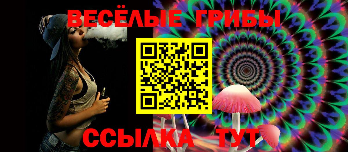 Псилоцибиновые грибы MAGIC MUSHROOMS  Псилоцибиновые грибы прущие грибы  Вход с VPN  Узловая 