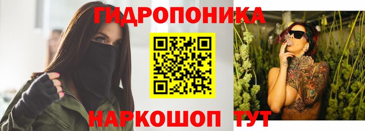 Марихуана конопля Узловая